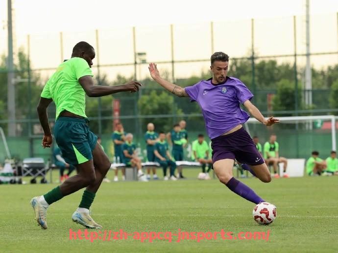 江南体育APP-上海大型健身器材的品牌与市场趋势